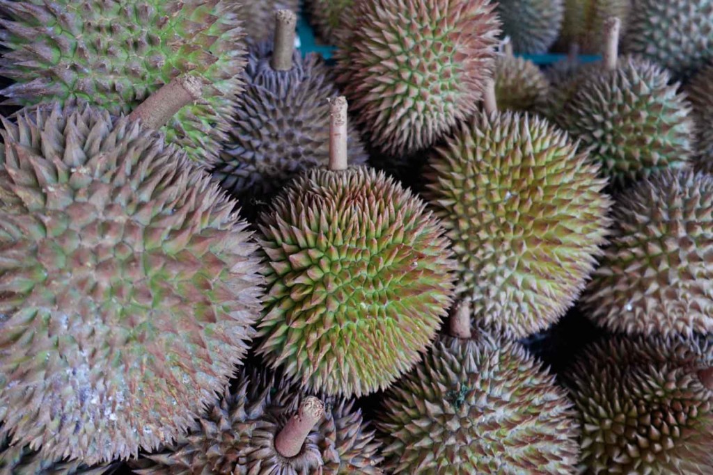 Durian Nahaufname