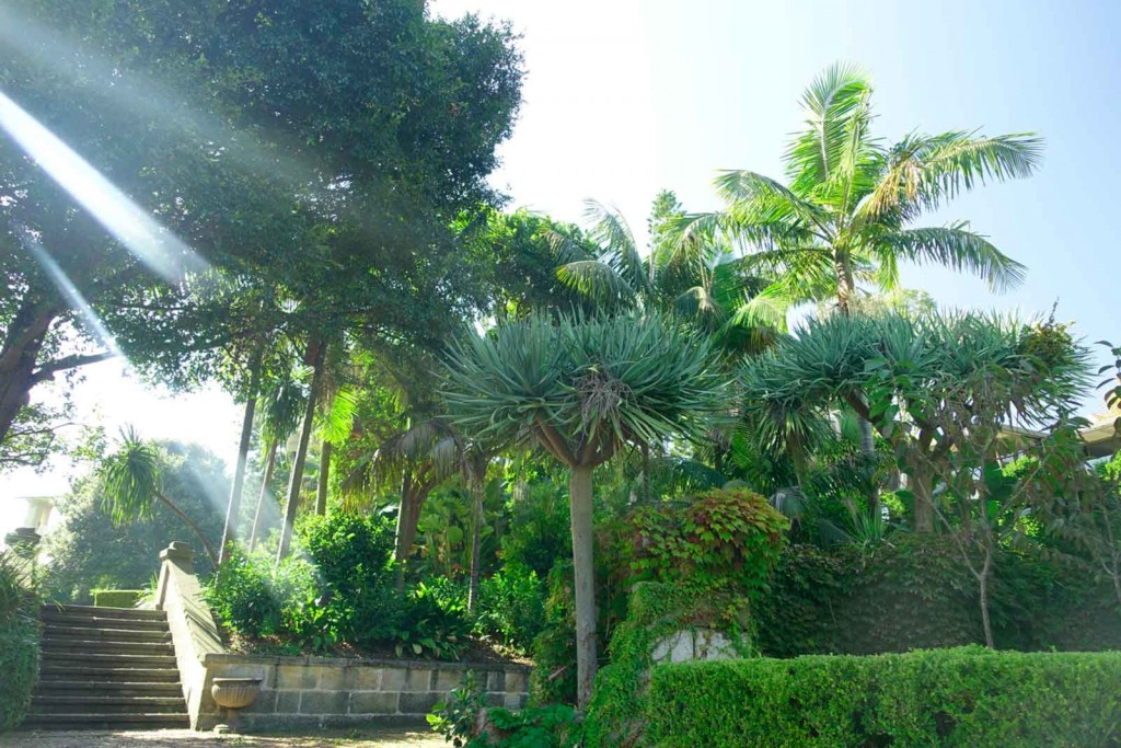 Kleiner Park in Sydney, dessen Name ich vergessen habe