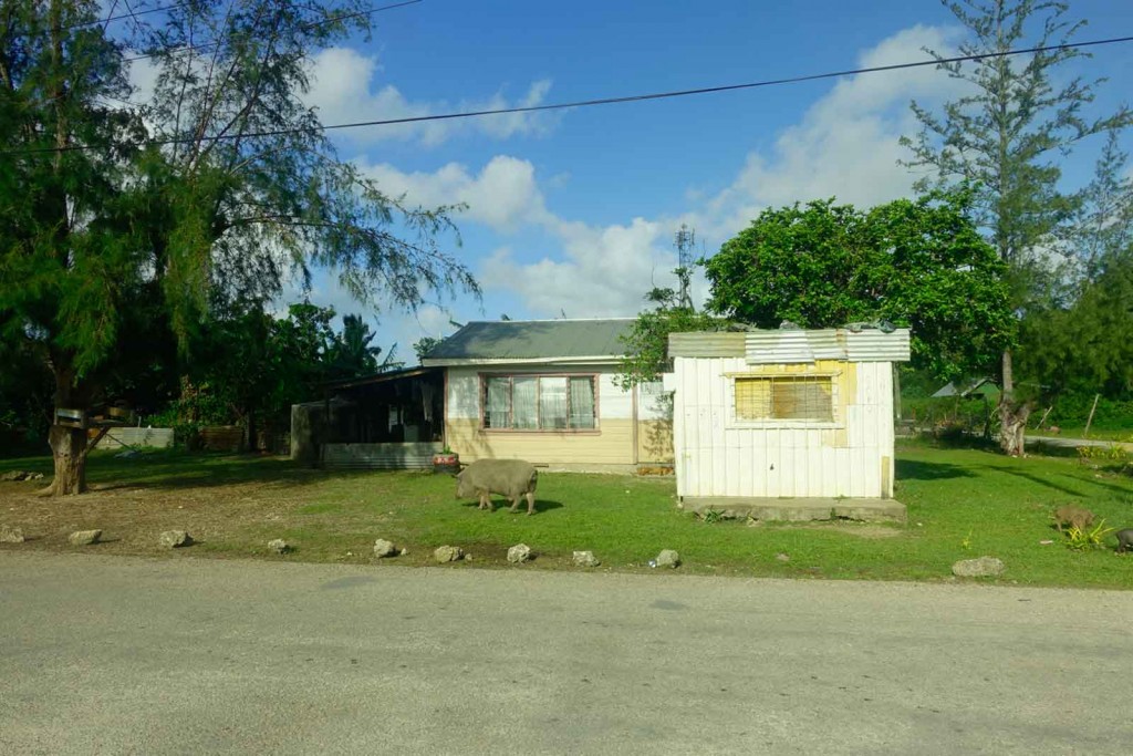 Einfache Hütte auf Tonga