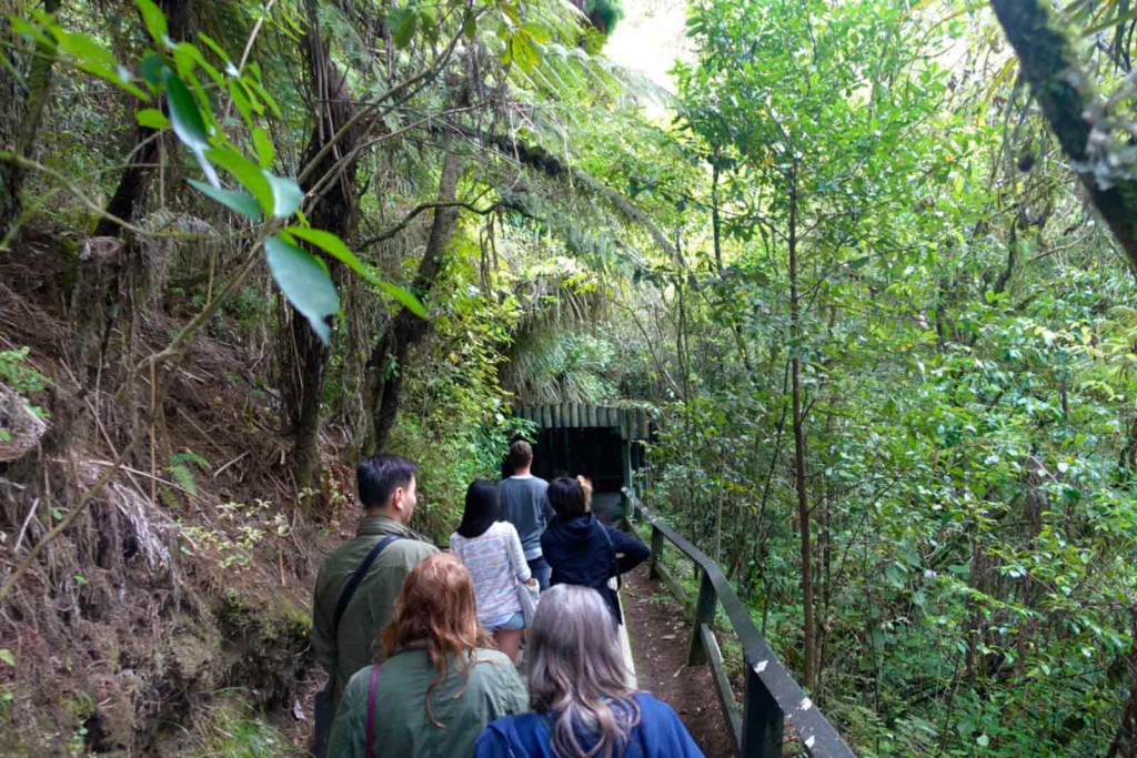 Eingang Waitomo Caves