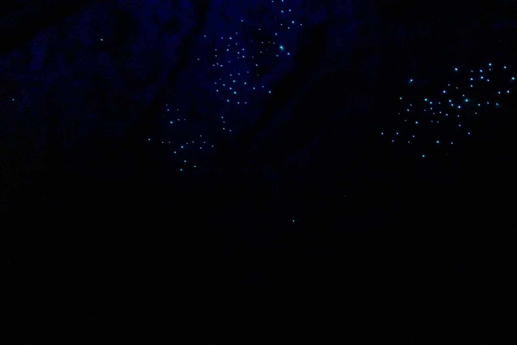 Glühwürmchen an der Decke der Grotte